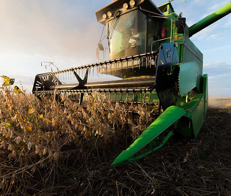 In the ever-evolving world of farming, Cadence provides superior-grade lubricants and greases that ensure your agricultural machinery operates smoothly and efficiently each day.