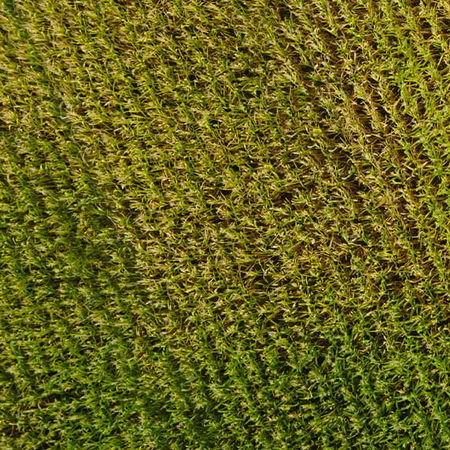 <span class="primary-color">Farms</span>