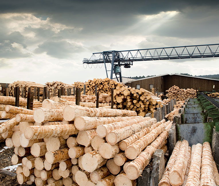 Manufacturing of products essential to the pulp and paper industry takes place globally, encompassing well-known sectors like tissue, newsprint, printing papers, pulp, and packaging.